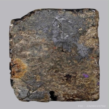 พระสมเด็จปิลันทน์ ปรกโพธิ์ พิมพ์ลึก