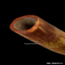 ตะกรุดกระดูกห่านเก้ายอด หลวงพ่อหรุ่น วัดอัมพวัน