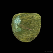 รูปหล่อโบราณหลวงพ่อเขียน ค่อมเล็ก ออกวัดพร้าว พิจิตร ปี2500