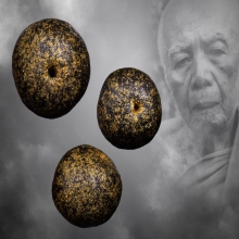 เม็ดประคำผงพรายกุมารหลวงปู่ทิม วัดละหารไร่