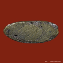 พระชัยวัฒน์หลวงปู่บุญ วัดกลางบางแก้ว จ.นครปฐม  พิมพ์ป้อมใหญ่