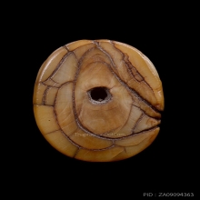 จักรพรรดิเครื่องรางอันดับ 1 เสือหลวงพ่อปาน วัดบางเหี้ย