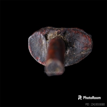 พระชัยพิมพ์ต้อ ลป.บุญ วัดกลางบางแก้ว