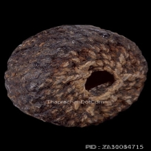 ตะกรุดพิศมร หลวงพ่อแก้ว วัดพวงมาลัย สมุทรสงคราม ยุคต้น