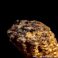 ตะกรุดหนังหน้าผากเสือ หลวงพ่อเต๋ วัดสามง่าม จ.นครปฐม