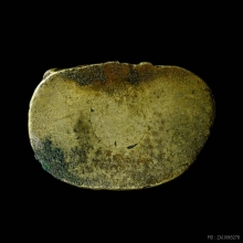 พระชัยวัฒน์หลวงพ่อเดิม ออกวัดหัวงิ้ว จ.นครสวรรค์ ปี2483 