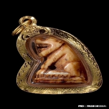 เสือหลวงพ่อสาย วัดคลองด่าน จ.สมุทรปราการ