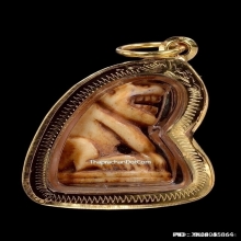 เสือหลวงพ่อสาย วัดคลองด่าน จ.สมุทรปราการ