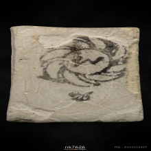 เศียรพรหมพิมพ์เล็ก หลวงปู่ดู่ วัดสะแก 2517