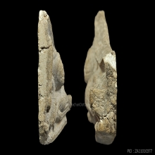 *** THE LEGENDARY ***