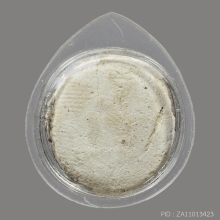 พระผง พิมพ์จันทร์ลอย กรุวัดคู้สลอด จ.พระนครศรีอยุธยา