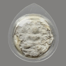 พระผง พิมพ์จันทร์ลอย กรุวัดคู้สลอด จ.พระนครศรีอยุธยา