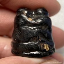 ลิงกอดกันเนื้อไม้ หลวงปู่ม่วง วัดยางงาม จ.ราชบุรี