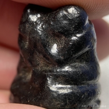 ลิงกอดกันเนื้อไม้ หลวงปู่ม่วง วัดยางงาม จ.ราชบุรี