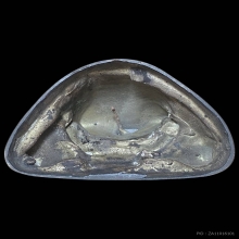 รูปหล่อหลวงปู่เม่ง วัดบางสะแกใน รุ่นแรก กรุงเทพฯ พ.ศ.2518