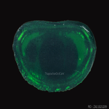 พระแก้วมรกตคุณแม่บุญเรือน วัดสารนารถธรรมมาราม ปี2506