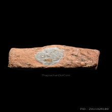 พระหลวงพ่อปาน กรุวัดดงตาล ปี พ.ศ. 2474