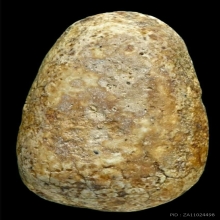 วัดพลับ พุงป่องเล็ก