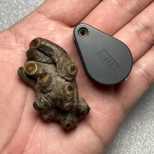 กาฝากไม้คูณ (ตายพราย) ไม้มงคล เครื่องรางทนสิทธิ์