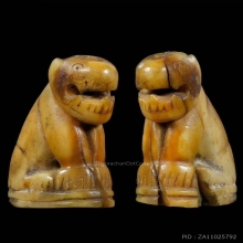 เสือ หลวงพ่อปาน วัดคลองด่าน