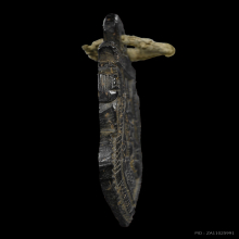 พระราหูอมจันทร์ หลวงพ่อน้อย วัดศีรษะทอง จ.นครปฐม