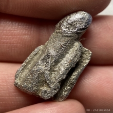 ปลัดขิก หลวงพ่อกวย วัดโฆสิตาราม (เนื้อตะกั่วผสมปรอท)