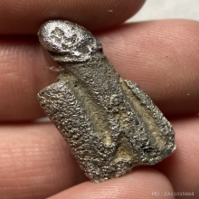 ปลัดขิก หลวงพ่อกวย วัดโฆสิตาราม (เนื้อตะกั่วผสมปรอท)