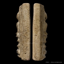 +บัตรเซียน100ปี สมเด็จวัดระฆัง 100 ปี ไข่ปลาใหญ่