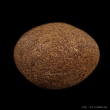 +ติดที่1สมาคม ลูกอมจินดามณี หลวงปู่เพิ่ม วัดกลางบางแก้ว