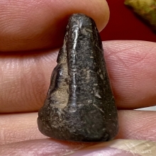 พระรอดหลวง วัดมหาวัน เนื้อดินดำ หายากสวยมากแชมป์เดิมสุดๆ