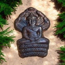 พระนาคปรก หลวงปู่คำบุ วัดกุดชมพู ปี 2553