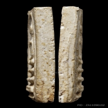 ติดที่2สมาคม หลวงปู่นาค วัดระฆัง พิมพ์สมเด็จสามชั้น