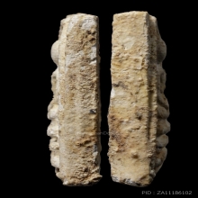 ติดที่1สมาคม หลวงปู่หิน วัดระฆัง สมเด็จพิมพ์ใหญ่ 2484