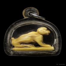 เสือแกะเก่า