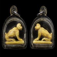 เสือแกะเก่า