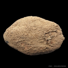 ดอกธาตุสมัยหริภุญไชย กรุลำพูน เนื้อดิน