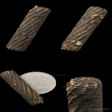 “ตะกรุดไม้ครูดอกเล็ก”หลวงปู่ภู วัดอินทร์(หายาก)