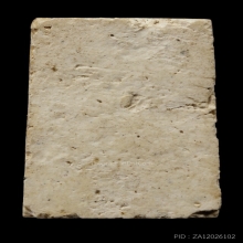 ติดที่3สมาคม พระครูมูล วัดสุทัศน์ คะแนน