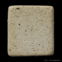 +ติดที่3สมาคม สมเด็จคะแนน วัดประสาท