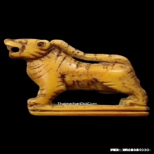 เสือหลวงปู่ยิ้ม วัดหนองบัว จ.กาญจนบุรี