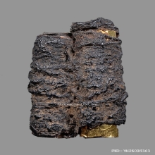 ตะกรุดสาริกาสามกษัตริย์หลวงพ่อกลั่น วัดพระญาติ