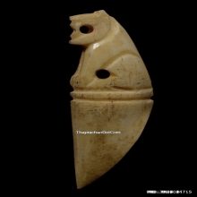 เสือกระดูกแกะหลวงพ่อเรือน วัดบางเหี้ย จ.สมุทรปราการ