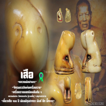 ”เสือ“ (พิมพ์หุบปาก) หลวงพ่อปาน วัดคลองด่าน จ.สมุทรปราการ