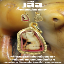 ”เสือ“ (พิมพ์หุบปาก) หลวงพ่อปาน วัดคลองด่าน จ.สมุทรปราการ