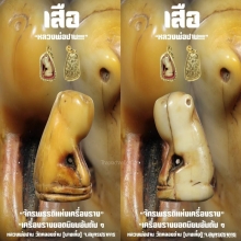 ”เสือ“ (พิมพ์หุบปาก) หลวงพ่อปาน วัดคลองด่าน จ.สมุทรปราการ