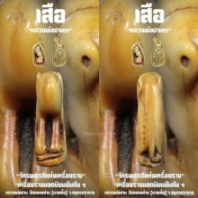 ”เสือ“ (พิมพ์หุบปาก) หลวงพ่อปาน วัดคลองด่าน จ.สมุทรปราการ