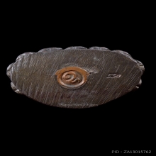 พระกริ่ง ทอ.รุ่นแรกปี31เนื้อนวะหลวงพ่อยิดวัดหนองจอก กุยบุรี 