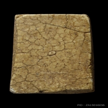 ติดที่3สมาคม พระครูมูล วัดสุทัศน์ คะแนน