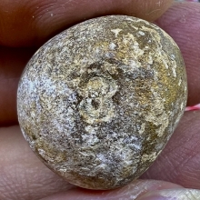 ลูกอมผงพราย ปู่ทิม มีตอก3 ออกวัดสัมพันธวงศ์ สวยสมบูรณ์หายาก