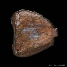 พระปิดตาปุ้มปุ้ย พ่อท่านคลิ้ง วัดถลุงทอง ปี2521 เนื้อนวะ2